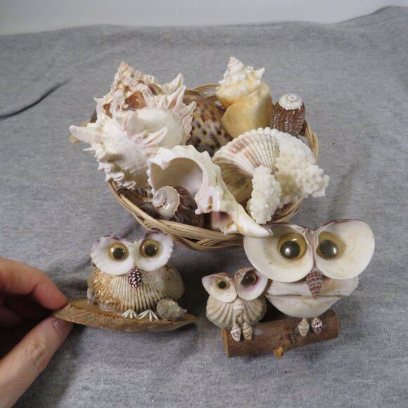 REAL sea shells and vintage Owl figures in woven basket - Picture 1 of 12